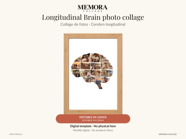 Collage Cerebro longitudinal - Plantilla Canva