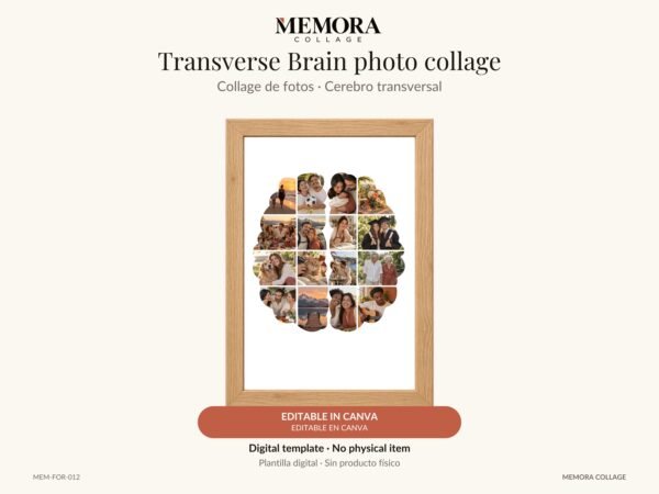 Collage Cerebro transversal - Plantilla Canva